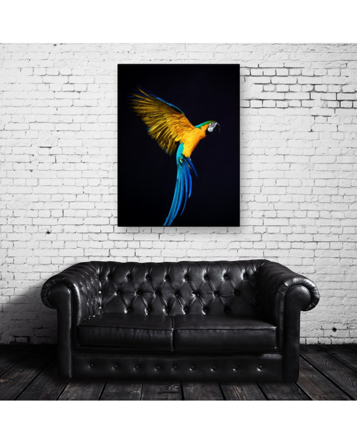 Retrato de un loro volando