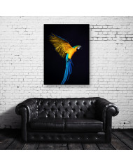 Retrato de un loro volando