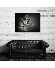 Leopardo, parque nacional Kruger, SudÁfrica