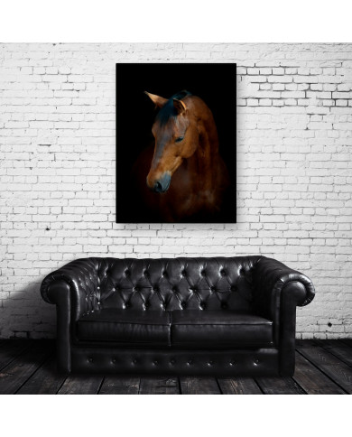 Retrato de caballo Retrato de caballo