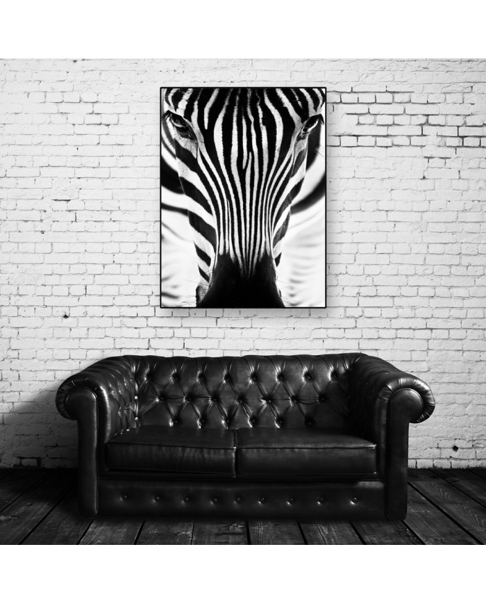 Retrato de un cebra, Parque Nacional Serengueti, Tanzania