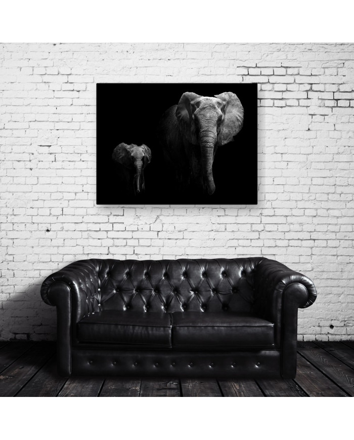 Retrato de un elefante con su cría,Parque Nacional Serengu