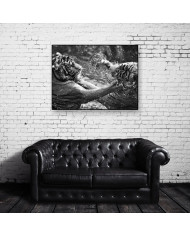 Tigres jugando en el agua