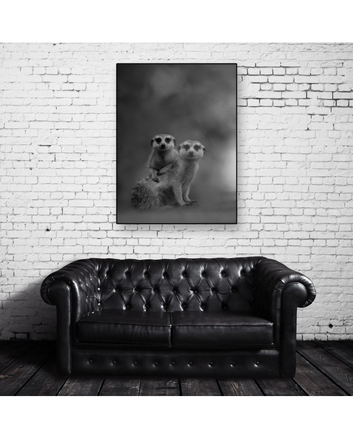 Pareja de suricatas, Desierto de Kalahari, Botswana