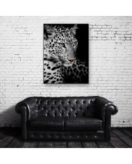 Retrato de un Leopardo