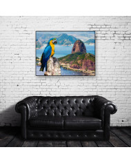 Guacamayo,Rio de Janeiro,Brasil