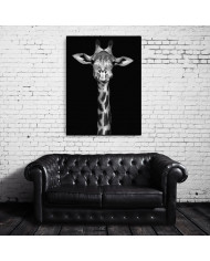 Retrato de una jirafa, Nairobi, Kenia