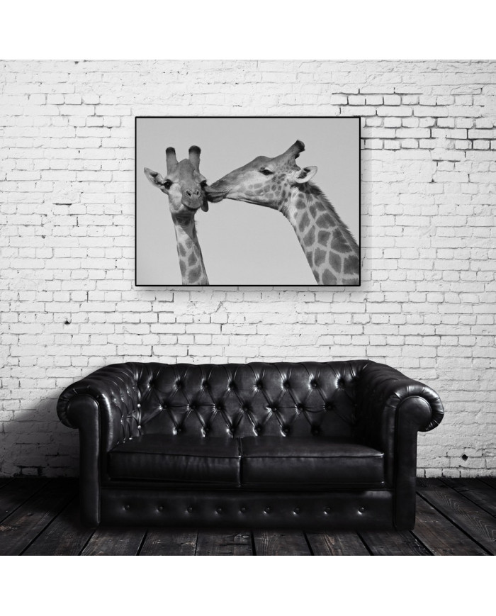 El beso de la jirafa, Kruger National Park, Sudáfrica