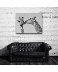 El beso de la jirafa, Kruger National Park, Sudáfrica