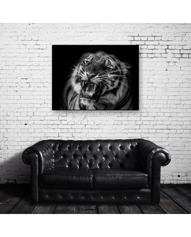Tigre al acecho Tigre al acecho