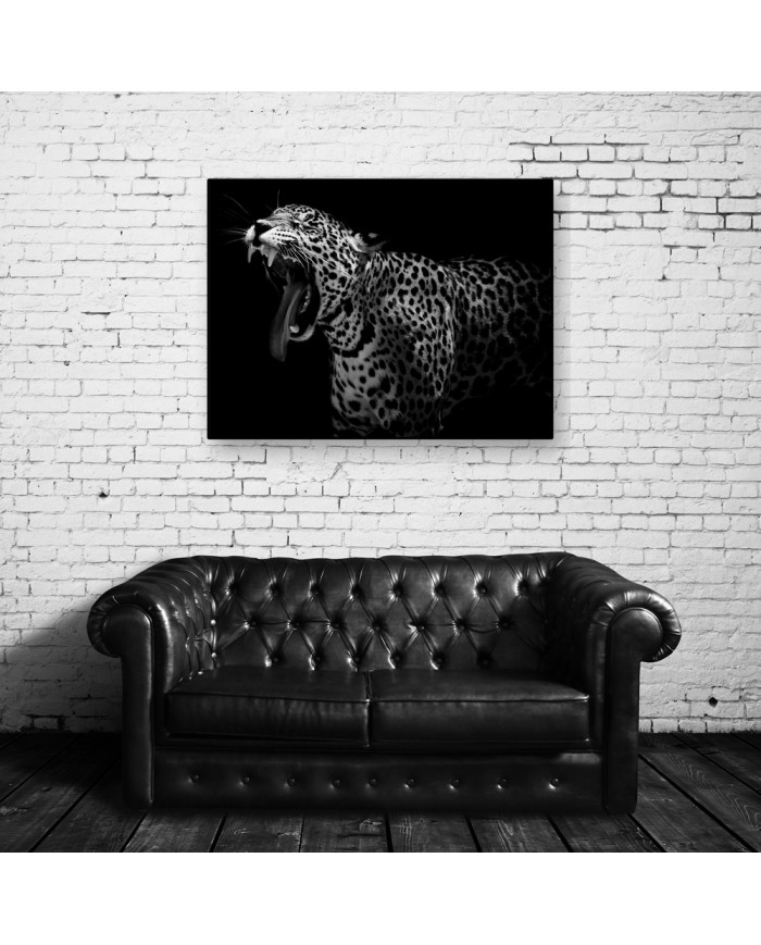 Retrato de un leopardo, Parque Nacional Serengueti, Tanzania