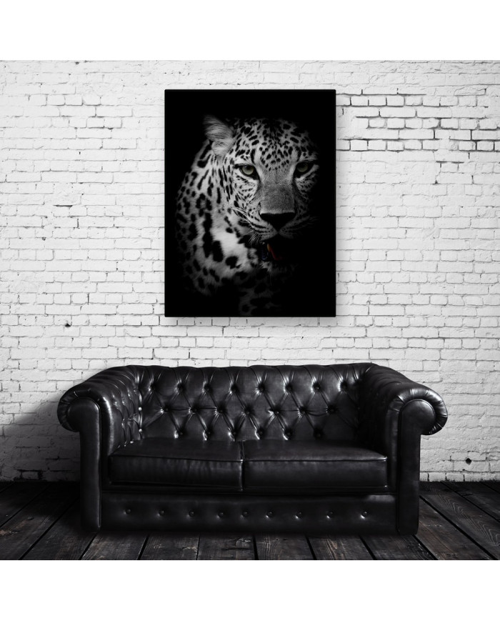 Retrato de un leopardo, Parque Nacional Kruger, SudÁfrica