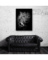 Retrato de un leopardo, Parque Nacional Kruger, SudÁfrica