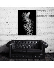 Retrato de un leopardo, Parque Nacional Chobe, Botswana