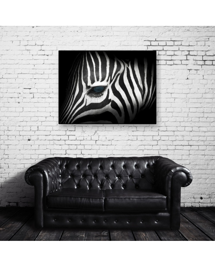 Retrato de una cebra,Parque Nacional Kruger,SudÁfrica