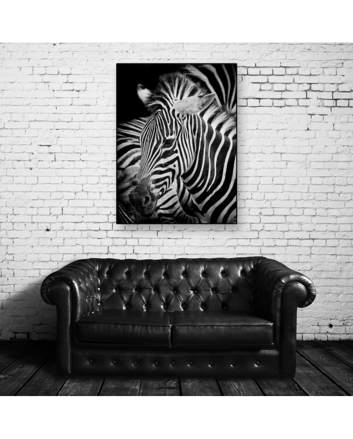 Retrato de una cebra, Parque Nacional Serengueti, Tanzania