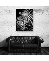 Retrato de una cebra, Parque Nacional Serengueti, Tanzania