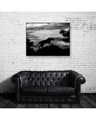 Leopardo al atardecer, Parque Nacional Chobe, Botswana