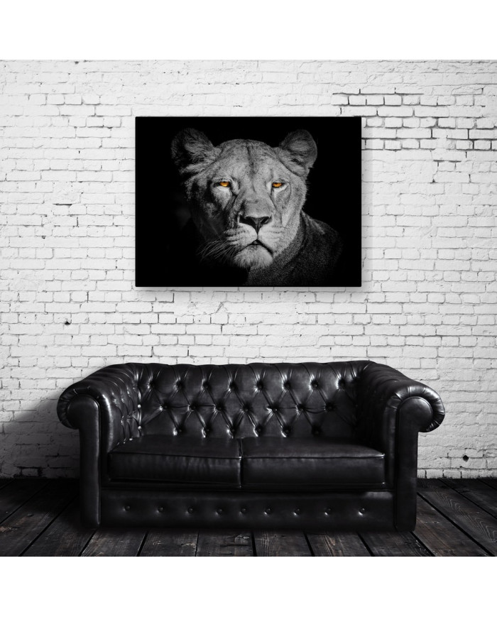 Leona,Parque Nacional Serengueti,Tanzania