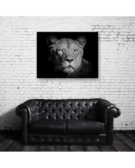 Leona,Parque Nacional Serengueti,Tanzania