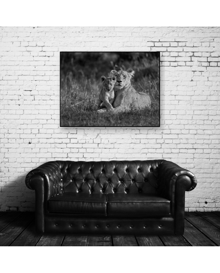 Leona con su cría, parque nacional Masai Mara, Kenia