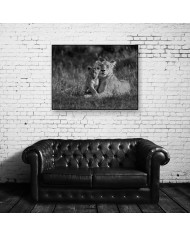 Leona con su cría, parque nacional Masai Mara, Kenia