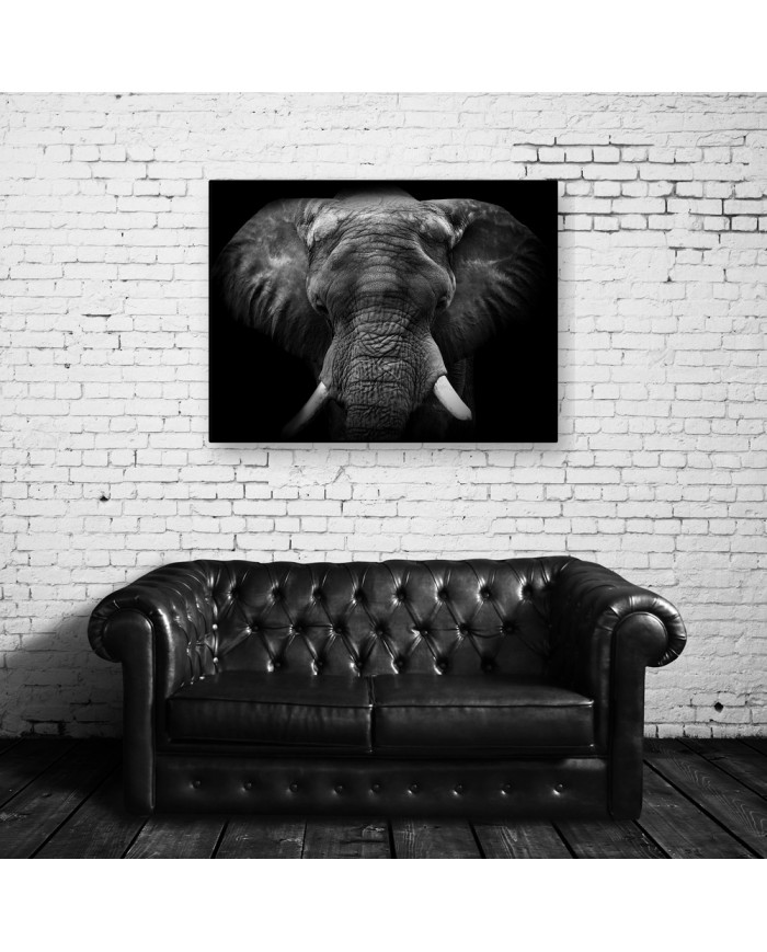 Retrato de un elefante, Parque Nacional Moremi, Botswana