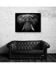 Retrato de un elefante, Parque Nacional Moremi, Botswana