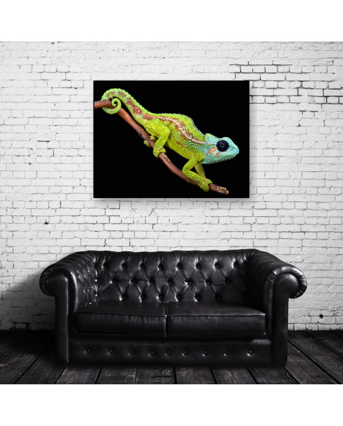 Camaleón, Mount Hanang