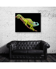 Camaleón, Mount Hanang