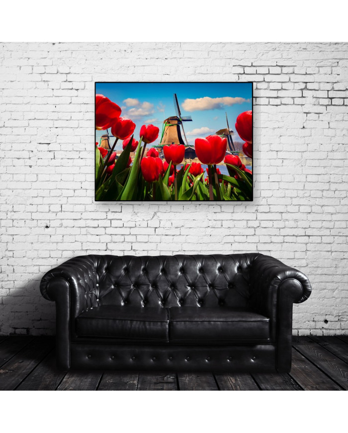 Molinos de viento,Holanda