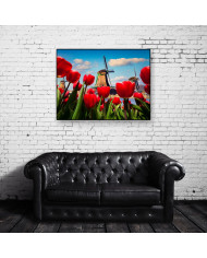 Molinos de viento,Holanda