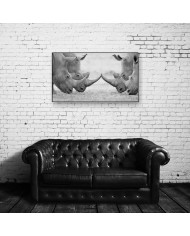 Rinocerontes blancos, parque nacional Kruger, SudÁfrica