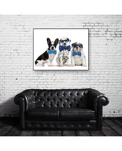 Perros disfrazados Perros disfrazados