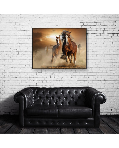Caballos salvajes Caballos salvajes