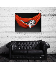 Beagle en una hamaca