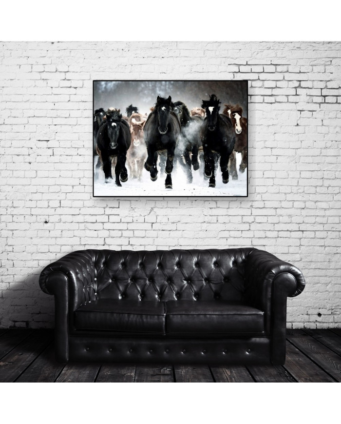 Caballos en invierno, Alaska