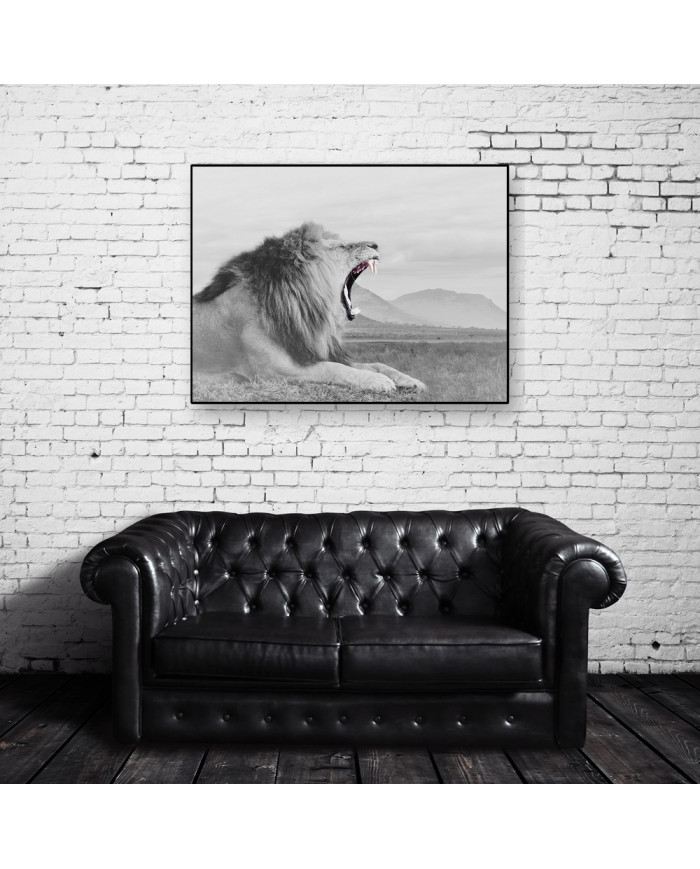 León, parque nacional Masai Mara, Kenia