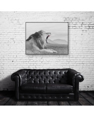 León, parque nacional Masai Mara, Kenia