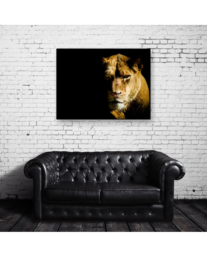 Leona, parque nacional Masai Mara, Kenia