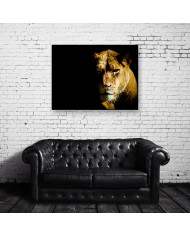 Leona, parque nacional Masai Mara, Kenia