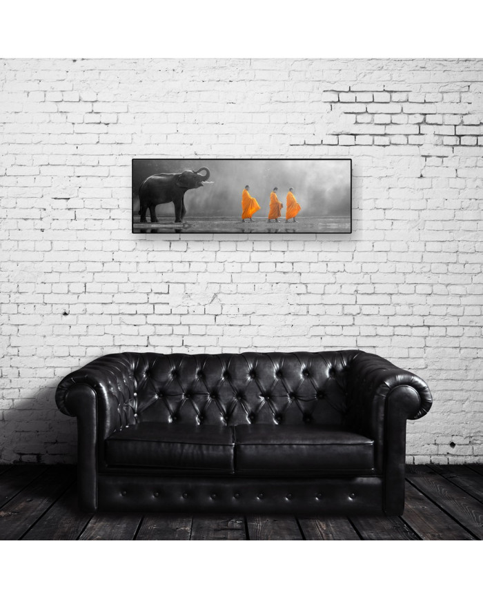 Young elephant with Monk alms round