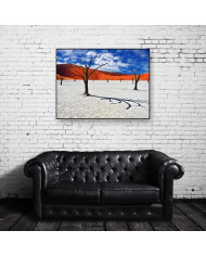 Dead Camelthorn Trees, Namib-Naukluft National Park, Namibia, Africa