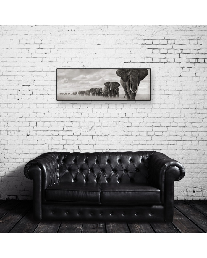 Columna de elefantes, Parque Nacional Moremi, Botswana