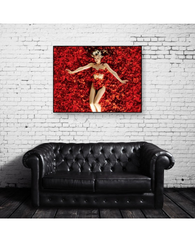 American Beauty American Beauty