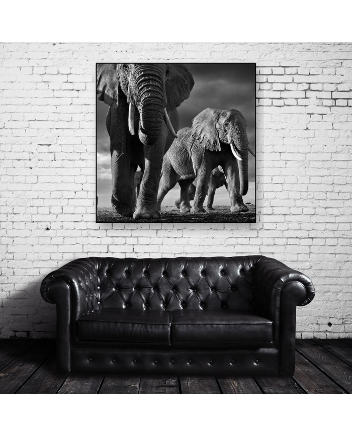 Elefantes, Parque Nacional Masai Mara, Tanzania