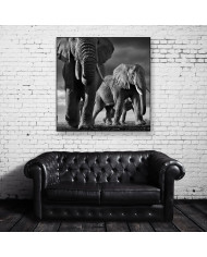 Elefantes, Parque Nacional Masai Mara, Tanzania