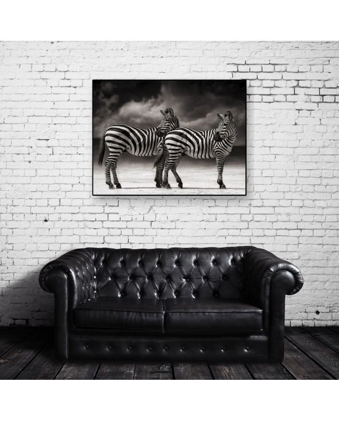 Cebras, Parque Nacional Serengueti, Tanzania