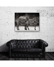 Cebras, Parque Nacional Serengueti, Tanzania