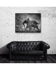 Elefante en el Kafue National Park, Zambia